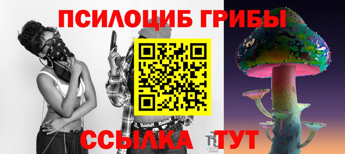 Будённовск  Псилоцибиновые грибы GOLDEN TEACHER  Псилоцибиновые грибы Psilocybe  Вход с VPN 